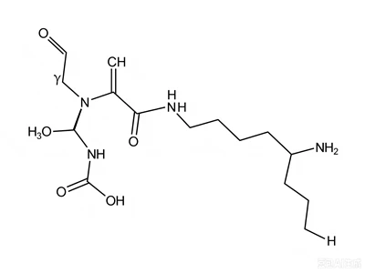 CAS:33932-35-3:Glutationylspermidin